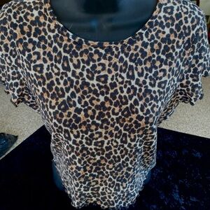 American Eagle Outfitters Leopard Print Short Sleeve Top